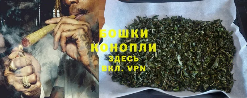 купить   Североморск  Каннабис Bruce Banner 